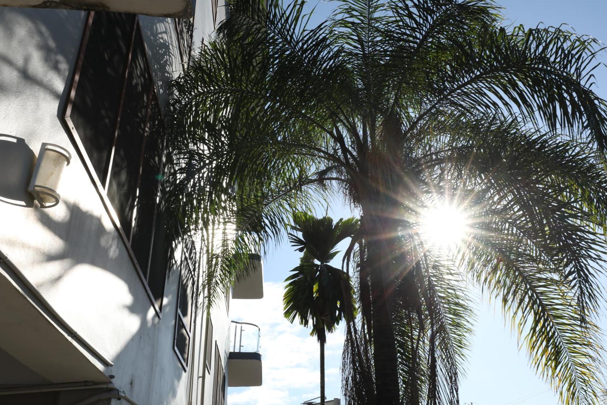 Tropical Plaza Apt Nadi Exteriör bild